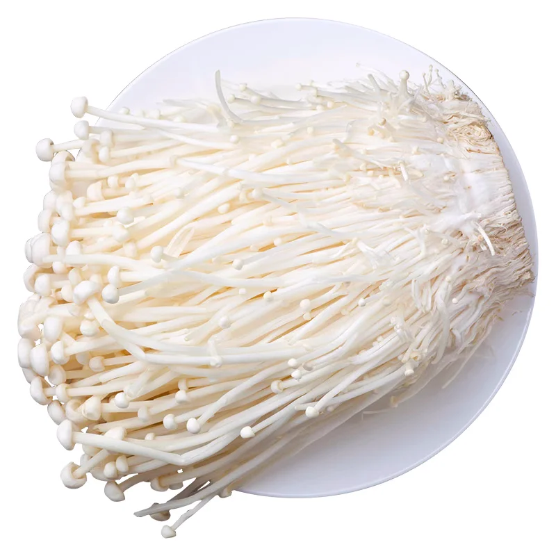 Экспорт высококачественных шиньонов Flammulina velutipes