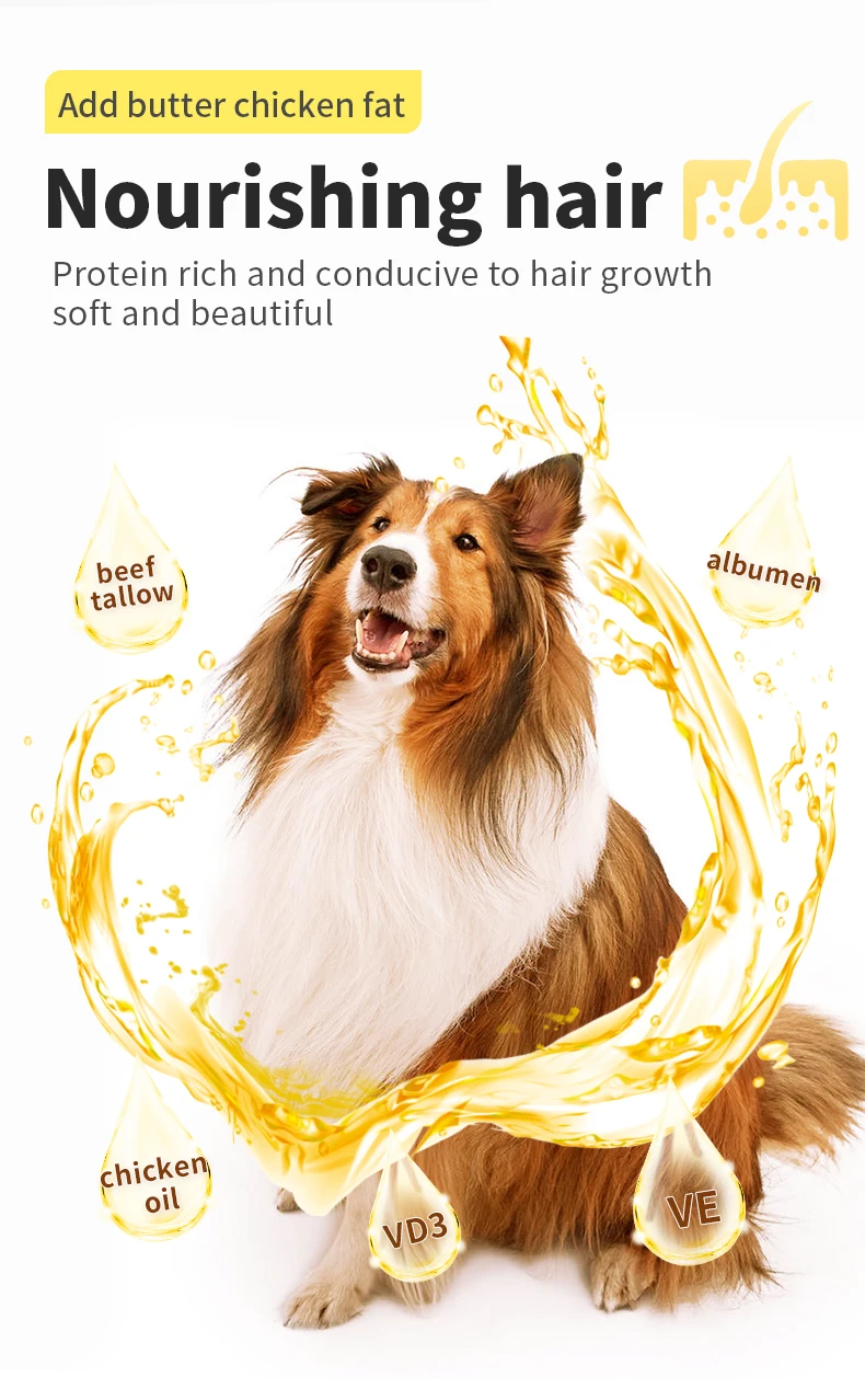 Oem Odm Multiple Various Flavors Dog Food Chinese Pet Food Buy Pet Food,Oem Odm Chinese Pet