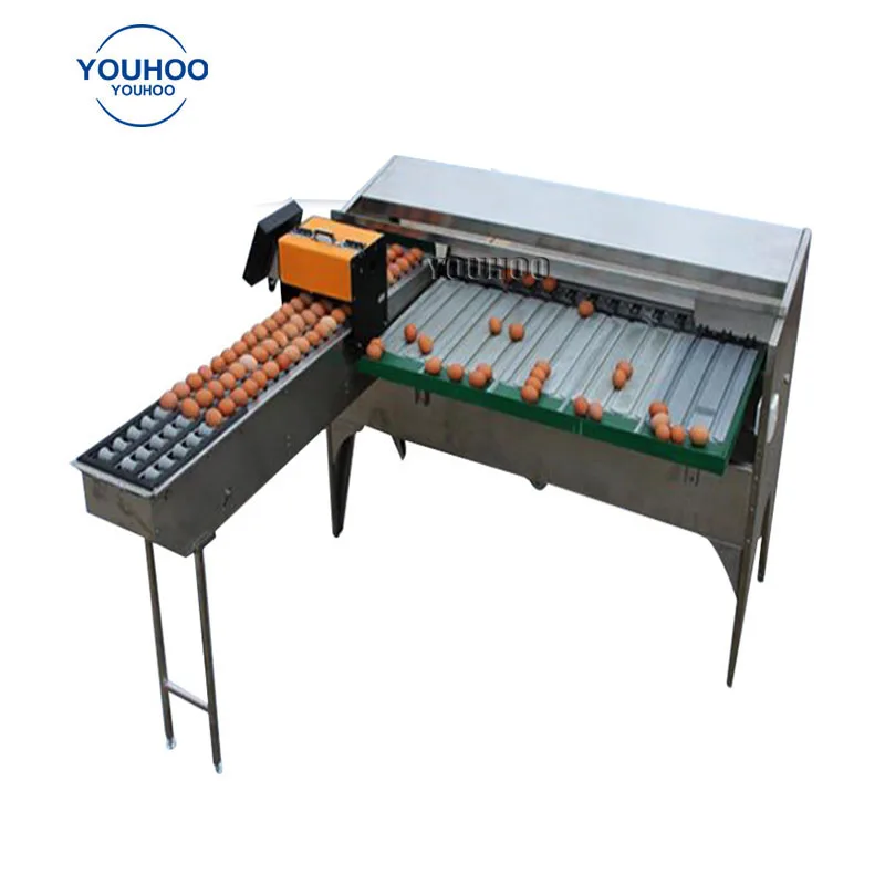 Industrial Small Egg Scale Classification Machine Egg Classifier Weight Grader Sorter Machine Cost