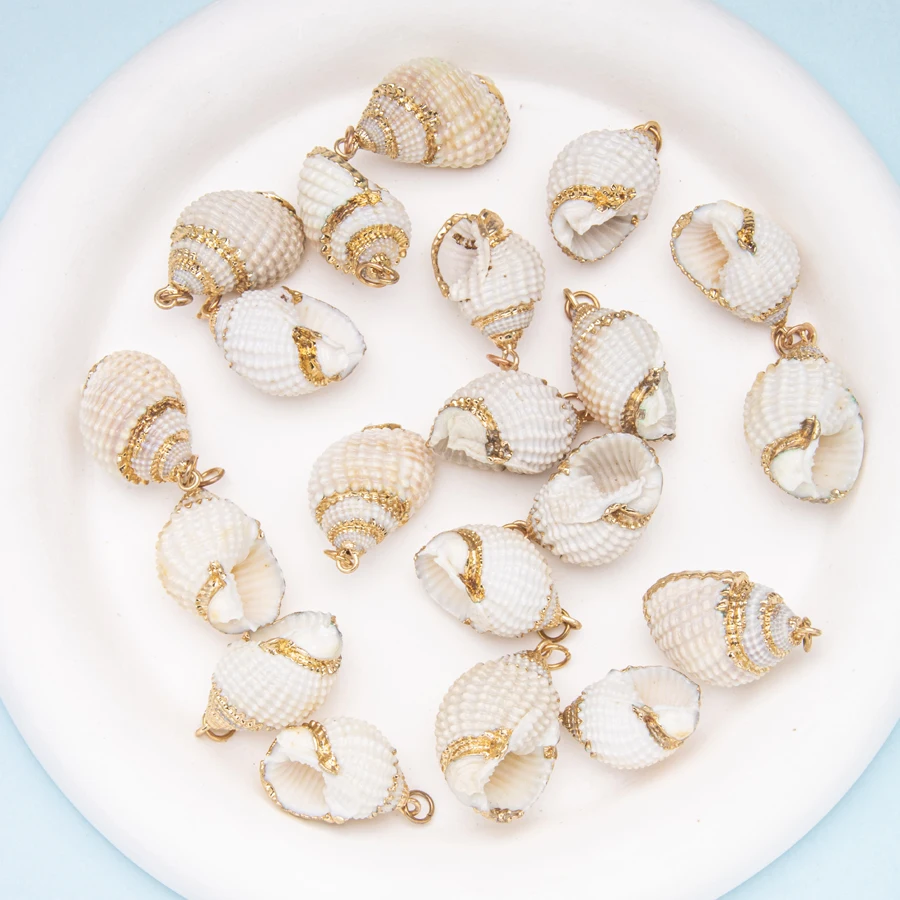 Natural Gold-plated Conch Shell Abalone Shell Small Convex