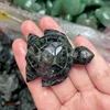 kambaba Jasper