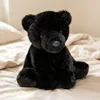 Black Bear
