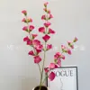 Flor de concha