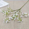 52067 white