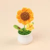 Piccola mini coccinella in vaso giallo sole