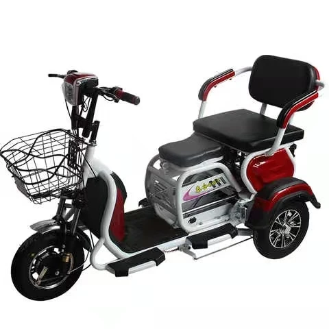 China-Made Cheap 3-Wheeled Electric Tricycle Bike Open Design for Elderly Family Use & Shopping 48v Voltage