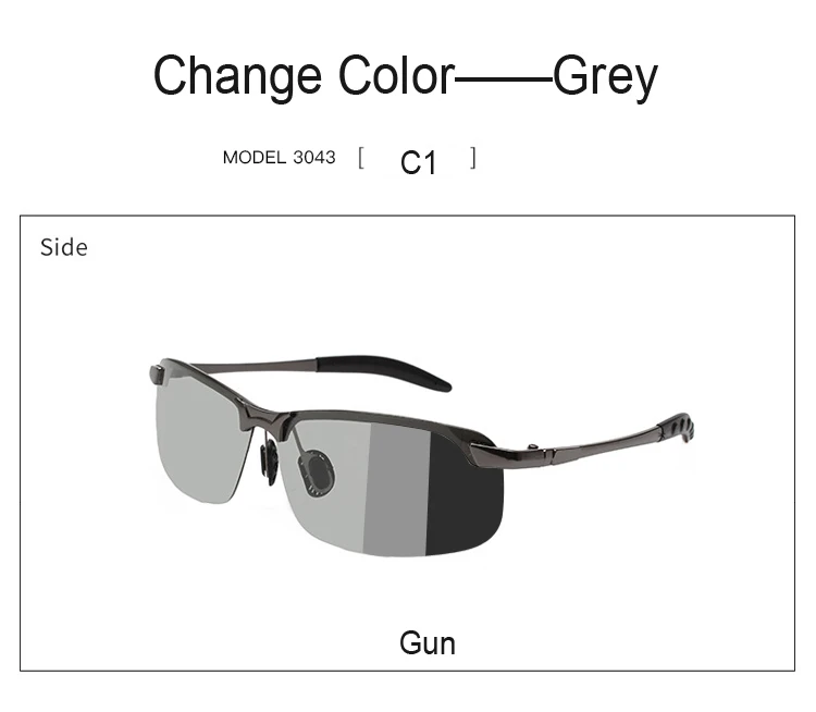 DOISYER Day and night polarized photochromic