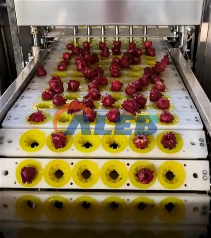 工場直接ローゼル種子抽出ハイビスカスコア除去機| Alibaba.com