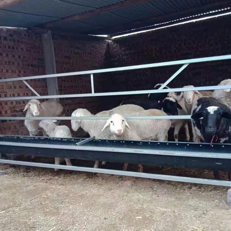 Hot Sale Feeder Troughs For Goat Feeder Troughs For Deer And Sheep