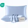 Blue pillow case