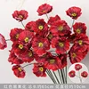 Red 3-headed poppy branch