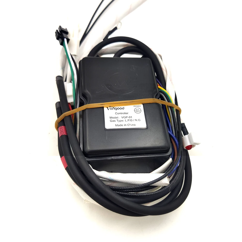 Kit Accenditore Elettrico ad Alta Energia 110V per Bruciatori a Gas con Valvola Solenoide e Accensione a Scintilla