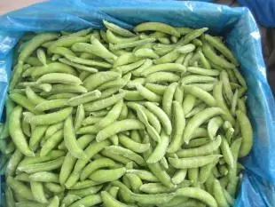 Preço Atacadista Bom IQF Ervilhas Verdes Ervilhas Verdes Congeladas Vegetais Congelados