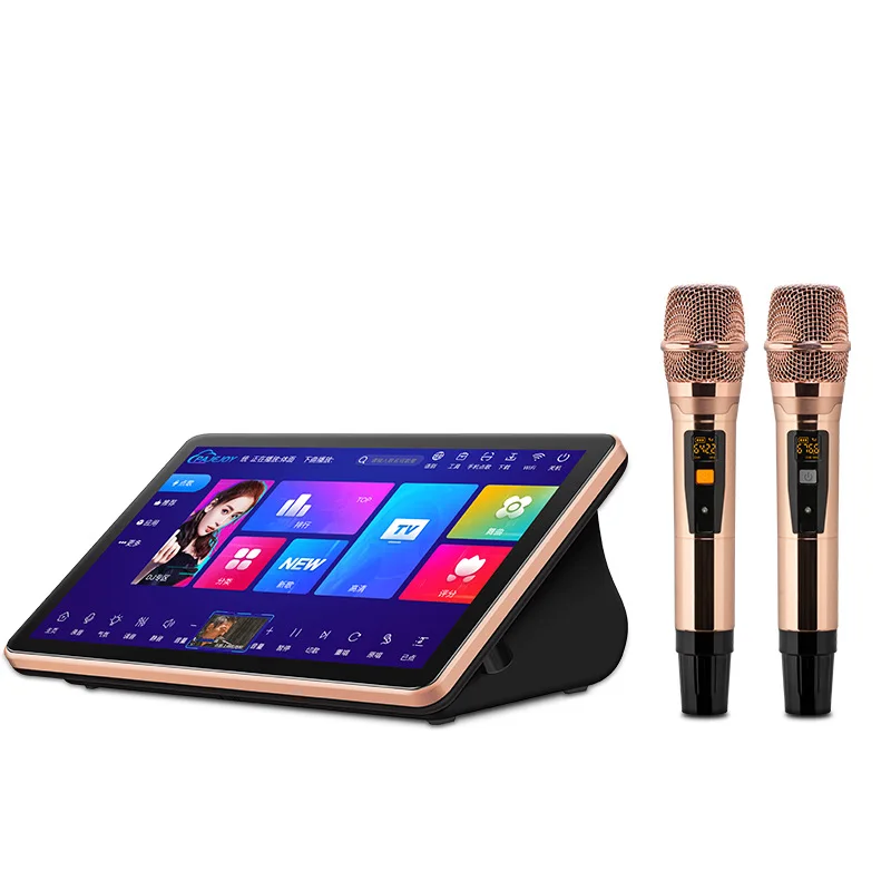 Hot Products Audio Wireless Microphone Videoke Player Karaoke