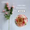 Peonía exquisita de 7 cabezas en primavera, rosa intenso