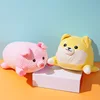 Small pink pig
