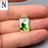 N