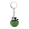 Watermelon black cat