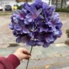 Deep Purple