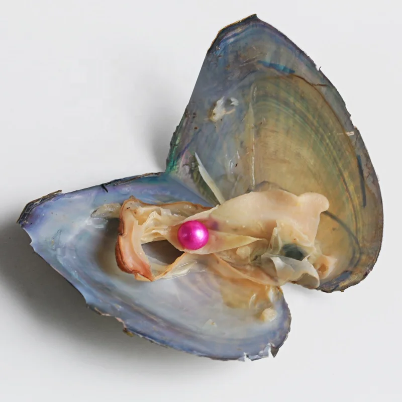 Wholesale High Quality 8-9mm Freshwater 
