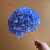 #13 hortensias de cabeza grande de color azul oscuro - 18 cm