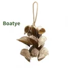 Boatye 18 conchas