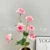 Rosa rosa intenso de 6 cabezas
