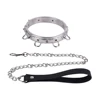 Silver collar + Drag chain