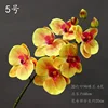 5th Color Small Branch Butterfly Orchid, One Branch