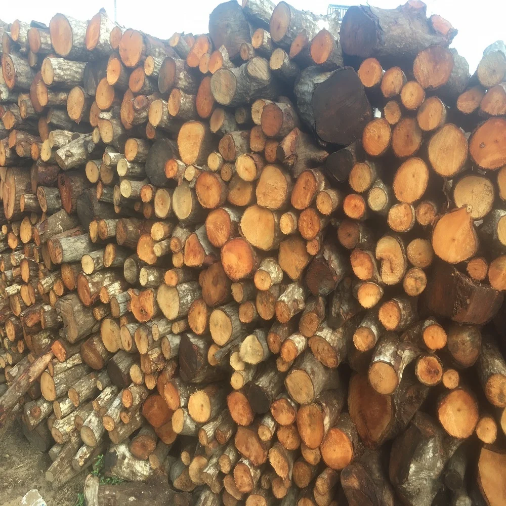 Black Charcoal From Natural Hardwood Vietnam Mangrove Charcoal Hardwood