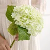 สีเขียวอ่อน
