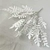 Blanc, feuille d'arbre de sophora groupée n° 2