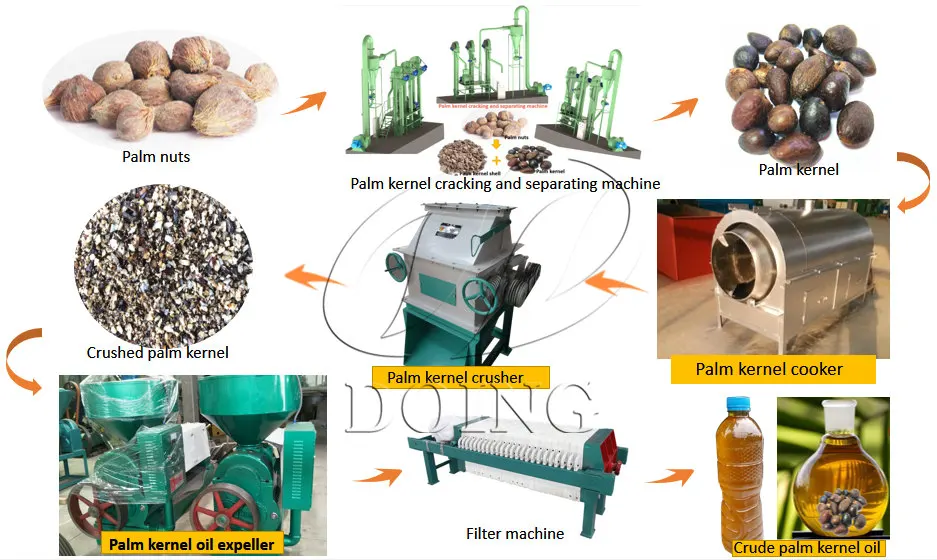 Small Scale PKO Processing Machine to Extract Palm Kernel Oil with High Oil Yield