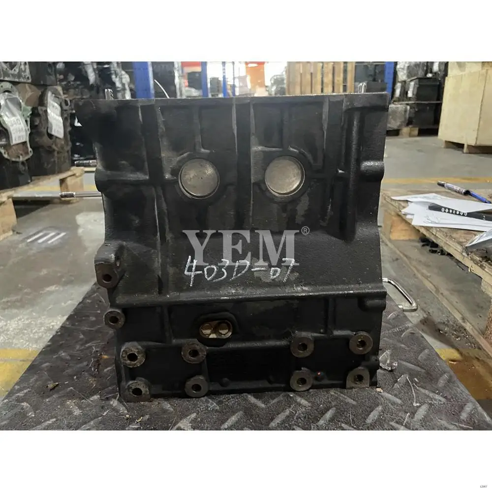 Cylinder Block Fit for Perkins 403D-07 Diesel Engine Machinery Engine Parts