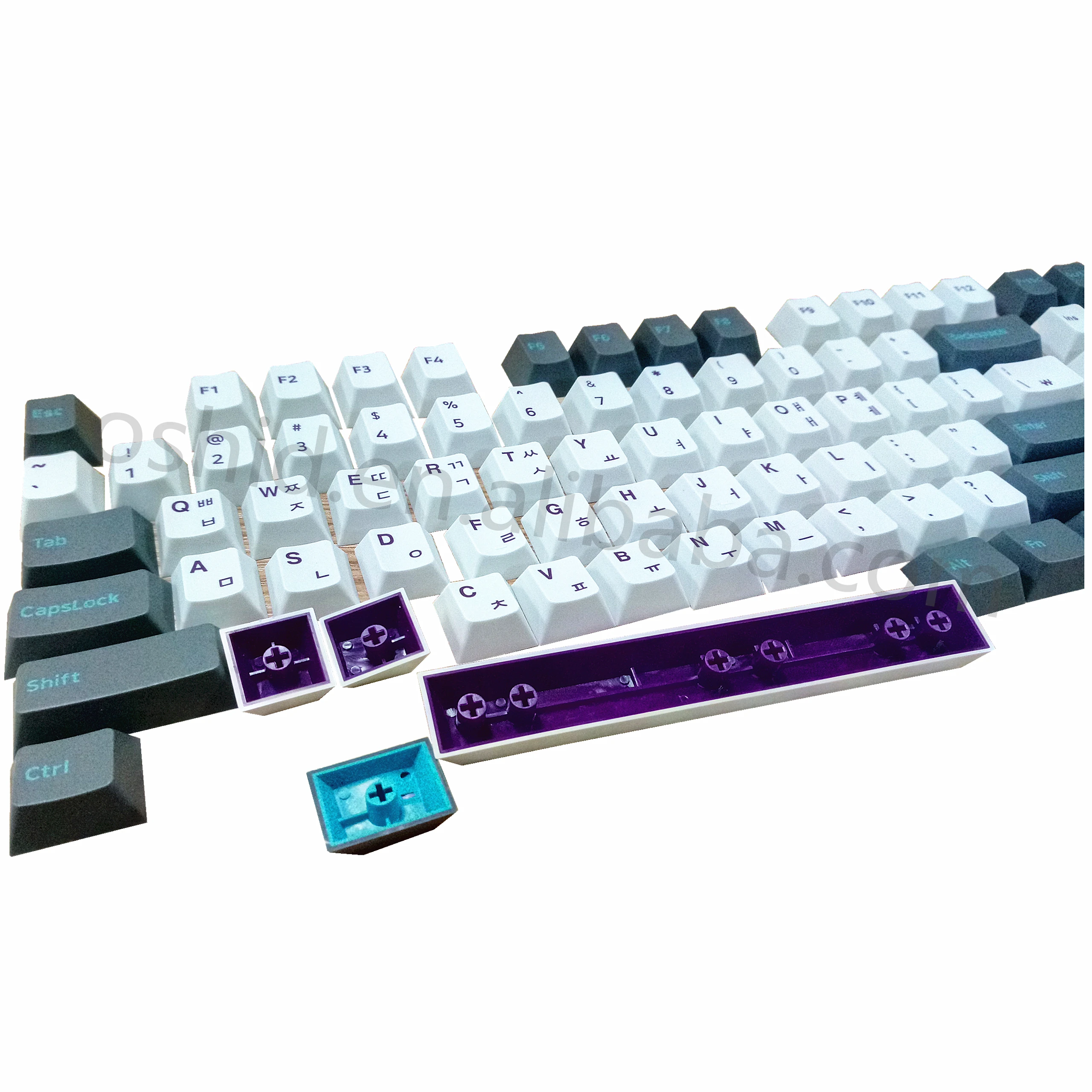 5960,,,4.jpg