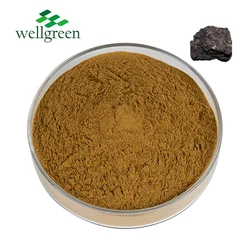 Shilajit Extract