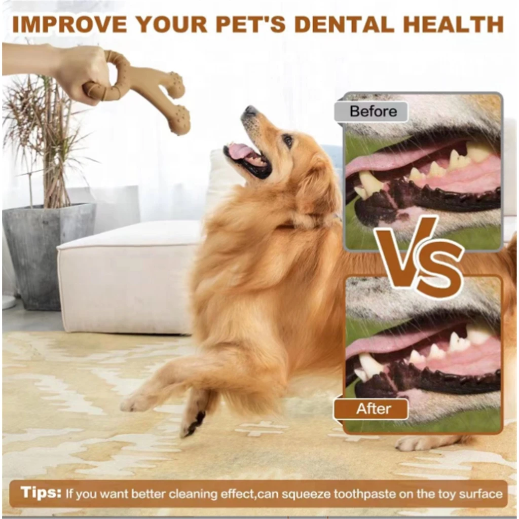 Dog Chew Toy in Action