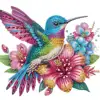 Colorful 5