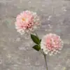 MIX--#8