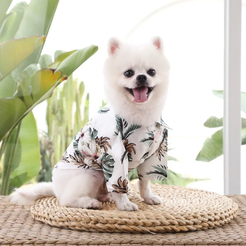 outdoor dog brand