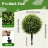 Sfera di eucalipto verde con punta