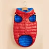 Rouge et bleu royal