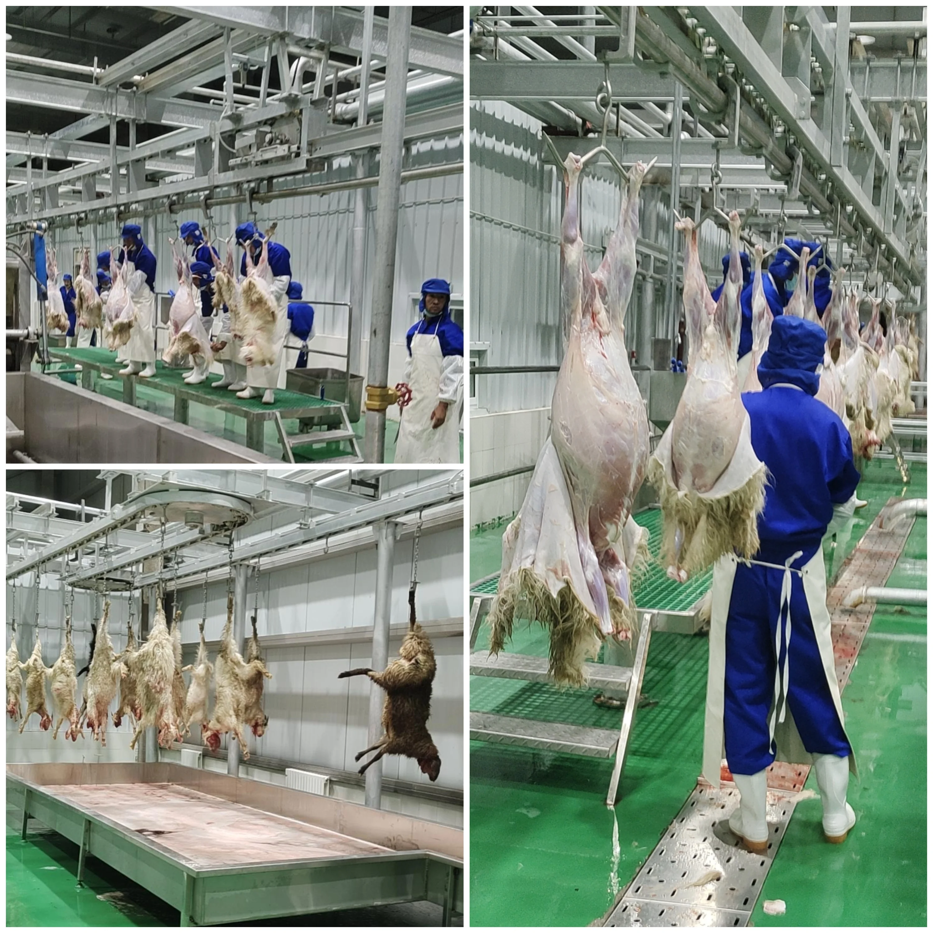 Automatic Halal Sheep Slaughtering Line Complete Goat Abattoir Machine Industrial Sheep Hair RemoveMachine for Meat Plant