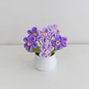 6 Head Forget-Me-Not Small White Potted Plant-Gradual Purple