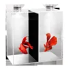 Doppio acquario per pesci betta