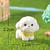 #13 White Bichon Frise