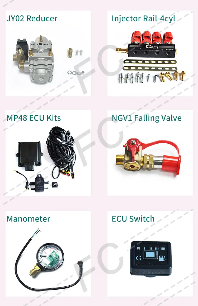 FC Auto Parts Fuel Gas System, 4 Cylinder CNG -Alibaba.com