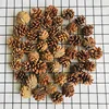 Petites pommes de pin (1-2cm,40 pcs/sac)
