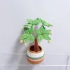 Árbol de la fortuna grande, en maceta individual y listo para exhibir.