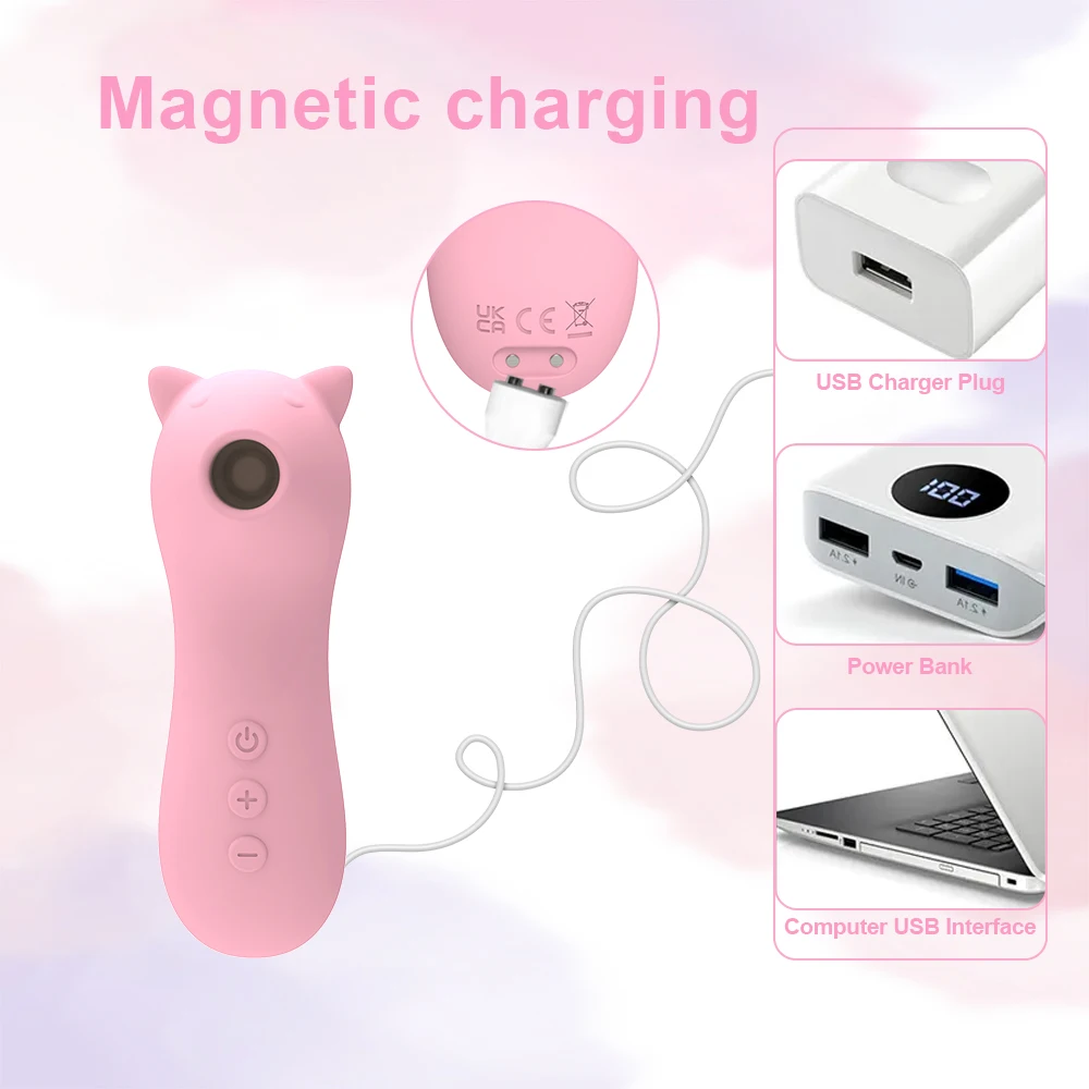 Magnetic charger for vibrator